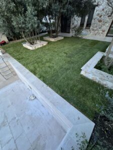 Courtyard lawn with trimmed grass, olive trees in raised stone planters, and a stone building in the background.