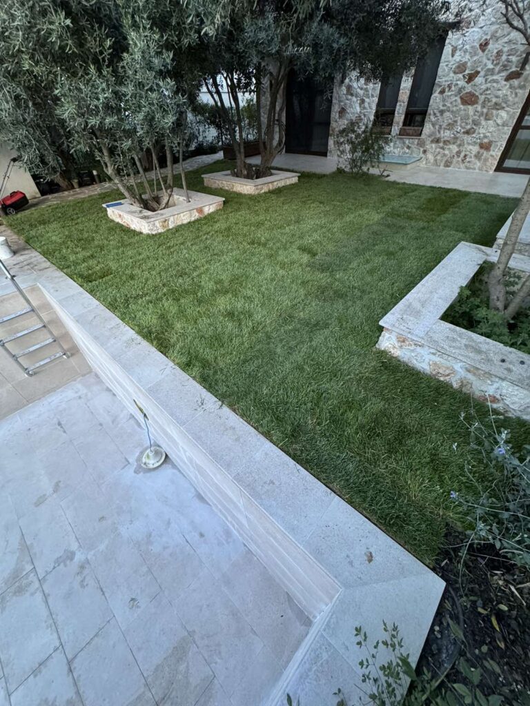 Courtyard lawn with trimmed grass, olive trees in raised stone planters, and a stone building in the background.