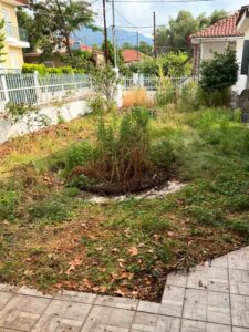 Overgrown backyard with weeds and a sunken hole near a tiled patio, white fence, and nearby houses in a suburban neighborhood.