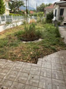 Overgrown yard with a circular, dead plant bed in the center and surrounding tiled patio area.