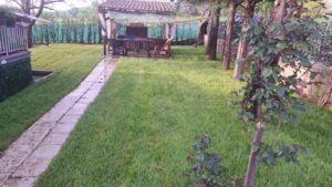 Green backyard with a stone path leading to a wooden gazebo or pergola, seating and a grill visible, surrounded by trees and a well-kept lawn.