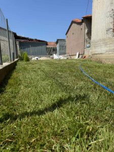 Backyard scene with green grass, a blue hose running along the ground, and buildings with red-tiled roofs in the background.